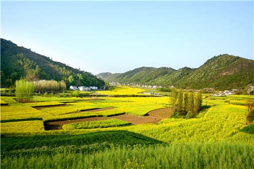 2021年中央一號(hào)文件關(guān)于農(nóng)村土地承包政策-攝圖網(wǎng)